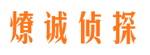 新田市场调查